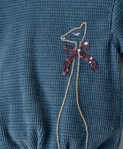 Κανένα σετ εικόνων 